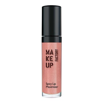 Make up Factory Spicy Lip