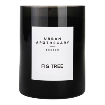 Urban Apothecary Fig Tree