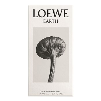Loewe Earth