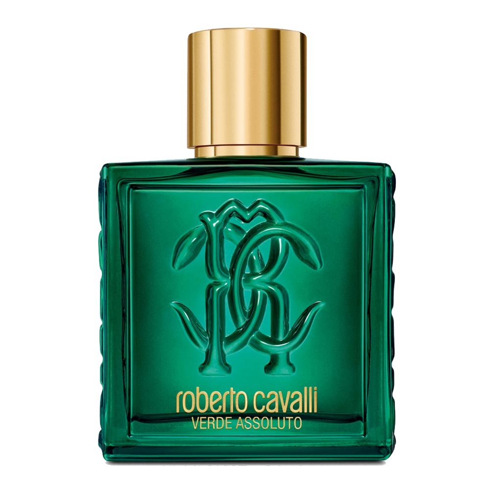 Roberto Cavalli Uomo Verde Assoluto — 100 ML купить в интернет