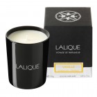 Lalique Exclusive Collections Vanille Acapulco