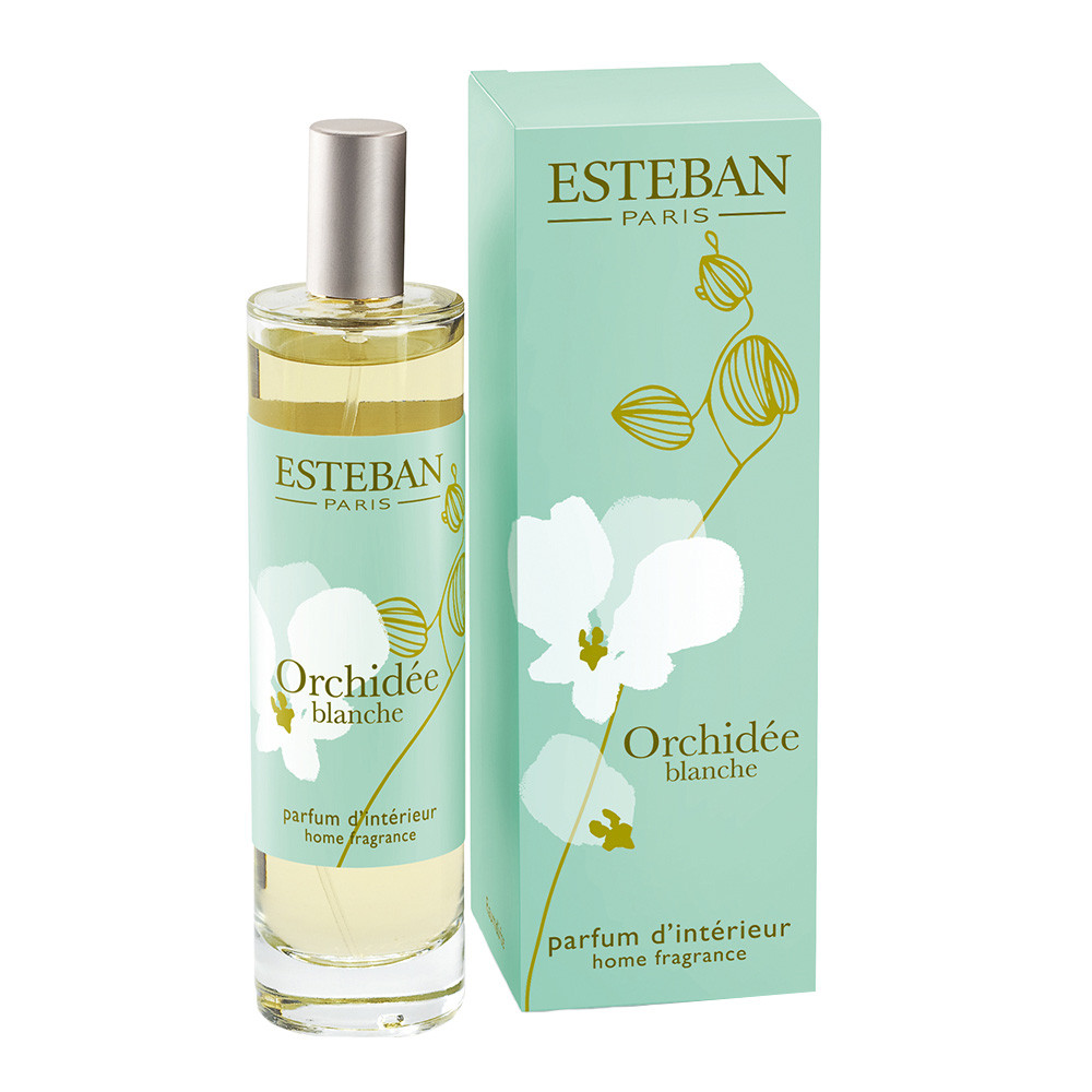 Esteban Orchide Blanc