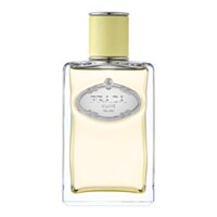 Prada Les Infusions de Prada Gingembre