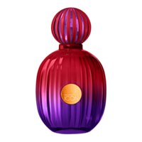 Banderas The Icon Woman Elixir