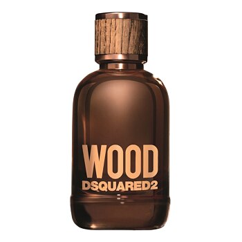 【専用のため購入お断り】DSQUARED2 HE WOOD 100ml Dsquared2 Wood Pour Homme — 100 ML купить в интернет-магазине