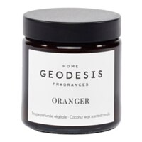 Geodesis Orange Tree