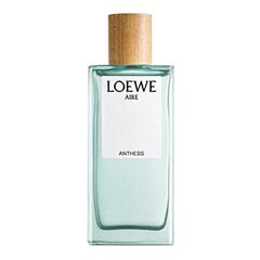 Loewe Paula's Ibiza Cosmic — 100 ML купить в интернет-магазине