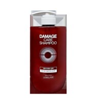 Lebelage Damage Care
