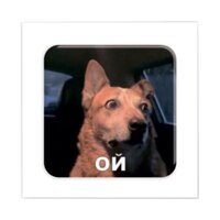 TATTOOSHKA 3D Sticker Animals memes