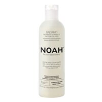Noah Hair 2.1