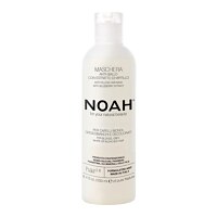 Noah Hair 2.6