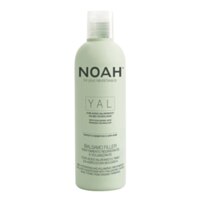 Noah YAL