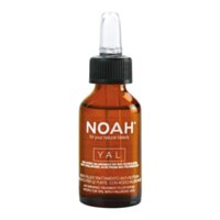 Noah YAL