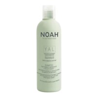 Noah YAL