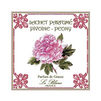 Le Blanc Peony