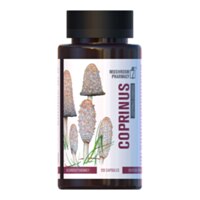Mushroom Pharmacy Coprinus