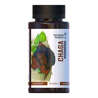 Mushroom Pharmacy Chaga