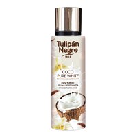 Tulipan Negro Coco Pure White