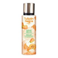 Tulipan Negro Sugar Melon