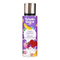 Tulipan Negro Candi Fantazy