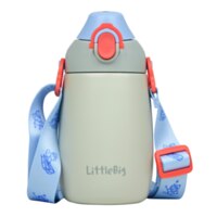 LittleBig Rebel