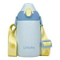 LittleBig Rebel