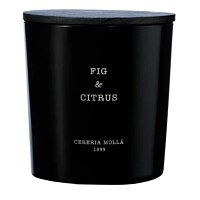 Cereria Molla Fig & Citrus