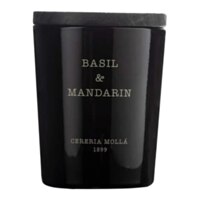 Cereria Molla Basil & Mandarin