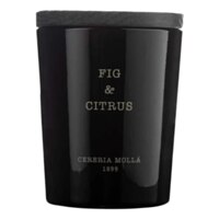 Cereria Molla Fig & Citrus