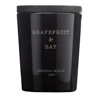 Cereria Molla Grapefruit & Bay