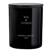 Cereria Molla Fig & Citrus