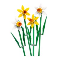 LEGO Botanicals